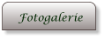 Fotogalerie